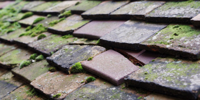 Hillesden roof repair costs